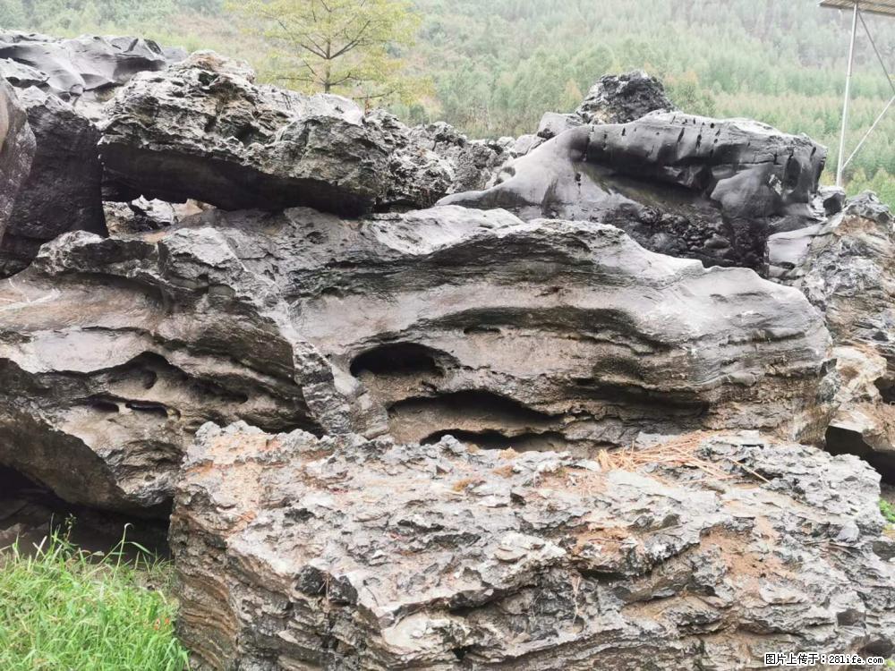 风景石、假山石大量有货，有需要的欢迎联系 - 新手上路 - 海口生活社区 - 海口28生活网 haikou.28life.net