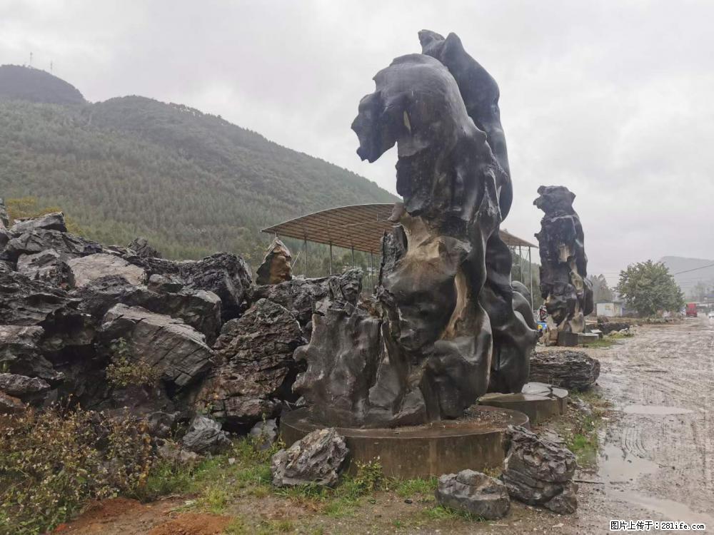 风景石、假山石大量有货，有需要的欢迎联系 - 新手上路 - 海口生活社区 - 海口28生活网 haikou.28life.net