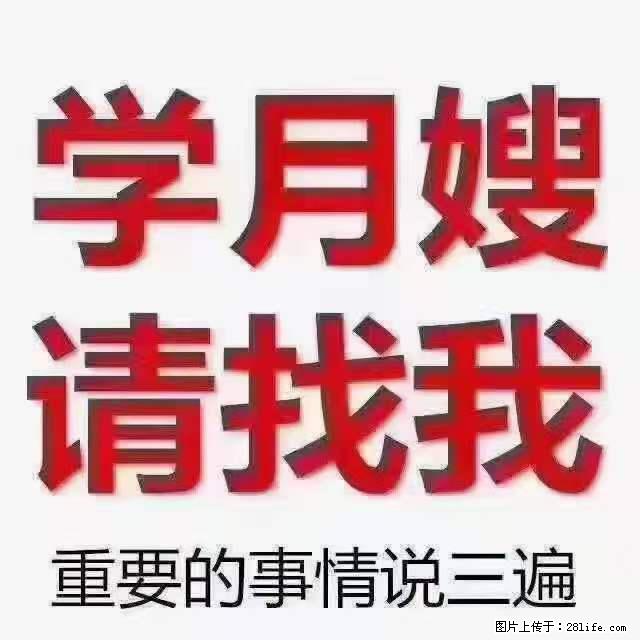 为什么要学习月嫂，育婴师？ - 其他广告 - 广告专区 - 海口分类信息 - 海口28生活网 haikou.28life.net