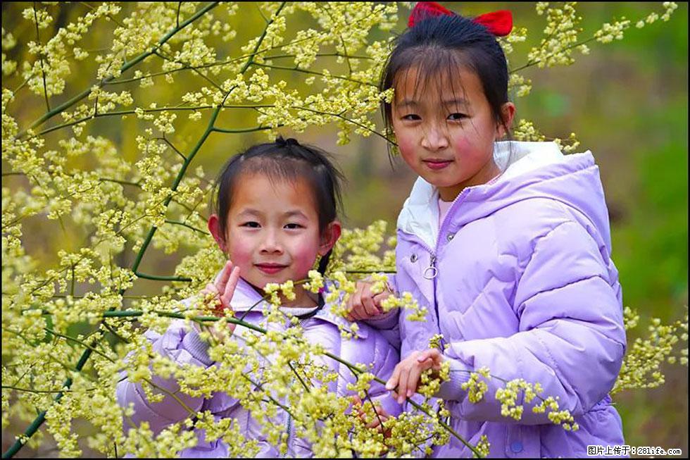 【春天，广西桂林灌阳县向您发出邀请！】米珠山前有片山苍子花在飘香 - 游山玩水 - 海口生活社区 - 海口28生活网 haikou.28life.net