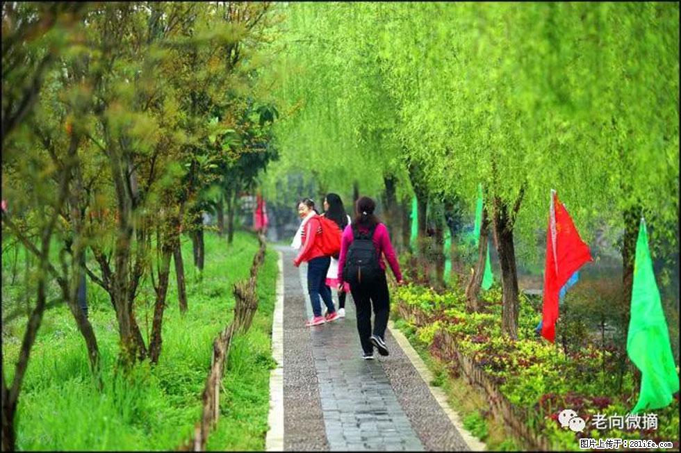 【春天，广西桂林灌阳县向您发出邀请！】江口老街又逢春 - 游山玩水 - 海口生活社区 - 海口28生活网 haikou.28life.net