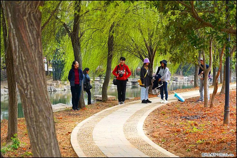 【春天，广西桂林灌阳县向您发出邀请！】江口老街又逢春 - 游山玩水 - 海口生活社区 - 海口28生活网 haikou.28life.net