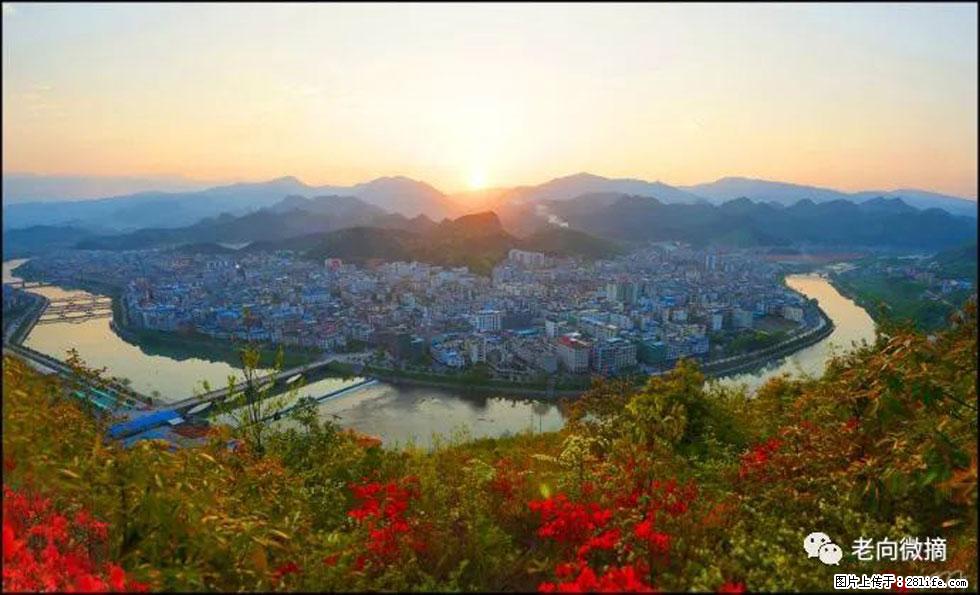 【春天，广西桂林灌阳县向您发出邀请！】登麒麟山，相约映山红 - 游山玩水 - 海口生活社区 - 海口28生活网 haikou.28life.net