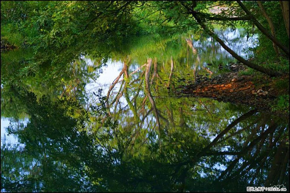 【春天，广西桂林灌阳县向您发出邀请！】熊家寨湿地公园 - 游山玩水 - 海口生活社区 - 海口28生活网 haikou.28life.net
