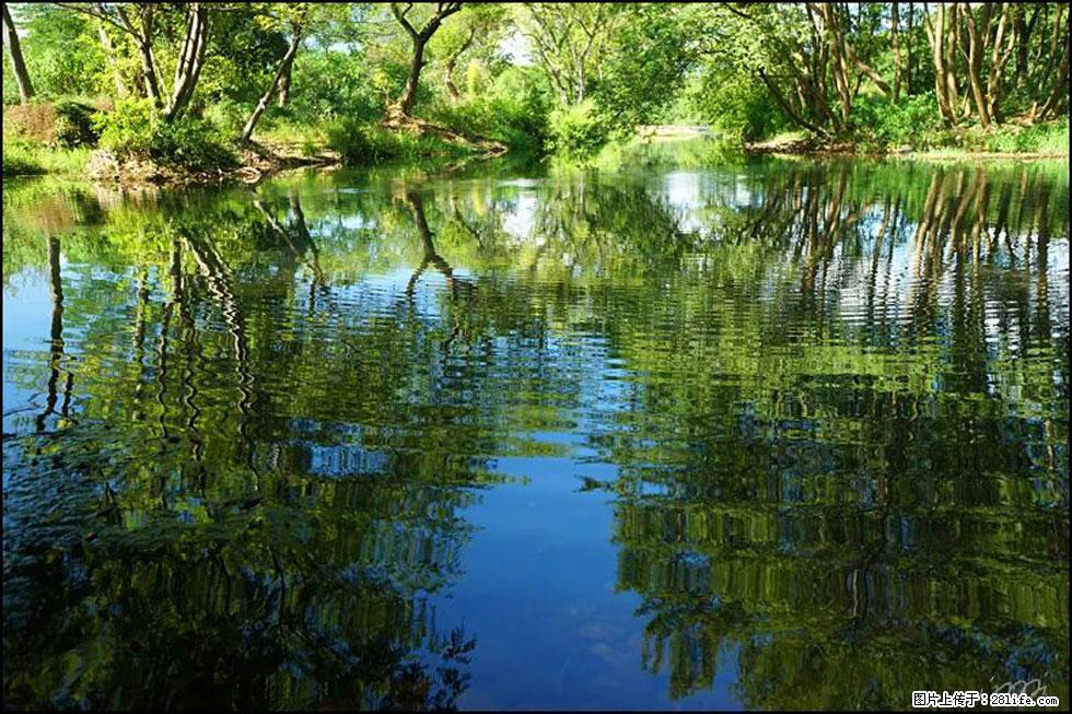 【春天，广西桂林灌阳县向您发出邀请！】熊家寨湿地公园 - 游山玩水 - 海口生活社区 - 海口28生活网 haikou.28life.net