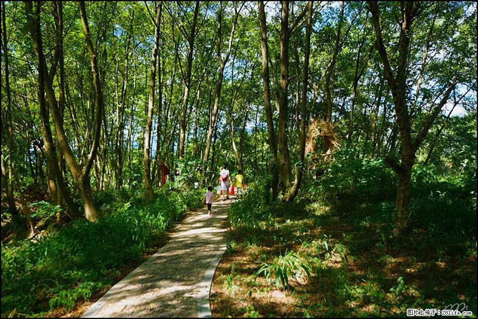 【春天，广西桂林灌阳县向您发出邀请！】熊家寨湿地公园 - 游山玩水 - 海口生活社区 - 海口28生活网 haikou.28life.net