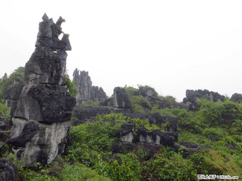 桂林旅游名城景点：灌阳文市石林 - 游山玩水 - 海口生活社区 - 海口28生活网 haikou.28life.net