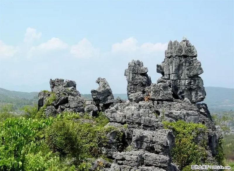桂林旅游名城景点：灌阳文市石林 - 游山玩水 - 海口生活社区 - 海口28生活网 haikou.28life.net