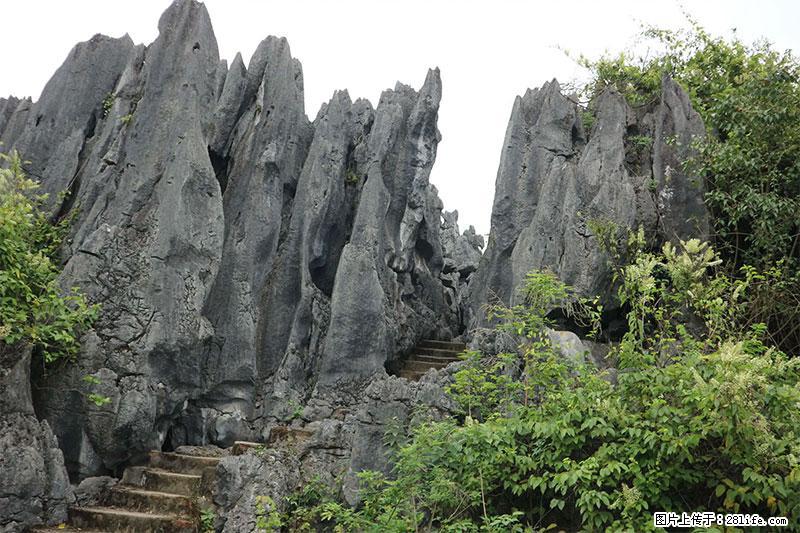 桂林旅游名城景点：灌阳文市石林 - 游山玩水 - 海口生活社区 - 海口28生活网 haikou.28life.net