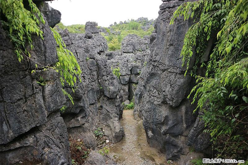 桂林旅游名城景点：灌阳文市石林 - 游山玩水 - 海口生活社区 - 海口28生活网 haikou.28life.net