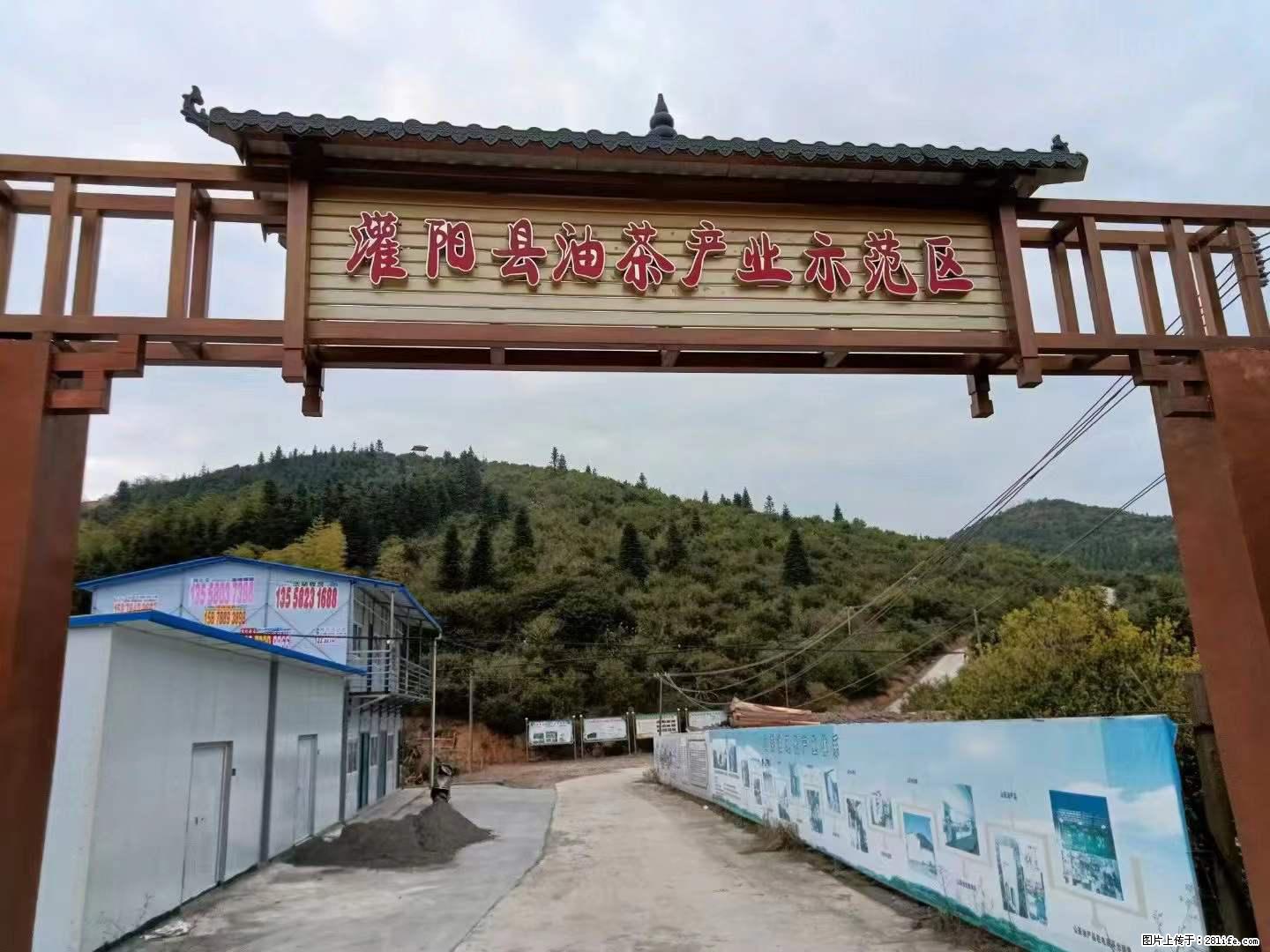 【灌阳县油茶产业示范区】一个有着充实的精神生活的人，对待身外之物自会有一种淡泊的态度 - 美食天地 - 海口生活社区 - 海口28生活网 haikou.28life.net