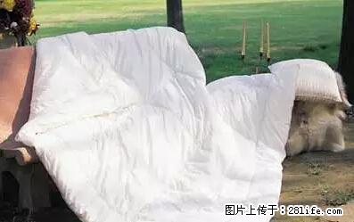 被子有异味？只要这样做，比晒太阳还强100倍！ - 家居生活 - 海口生活社区 - 海口28生活网 haikou.28life.net