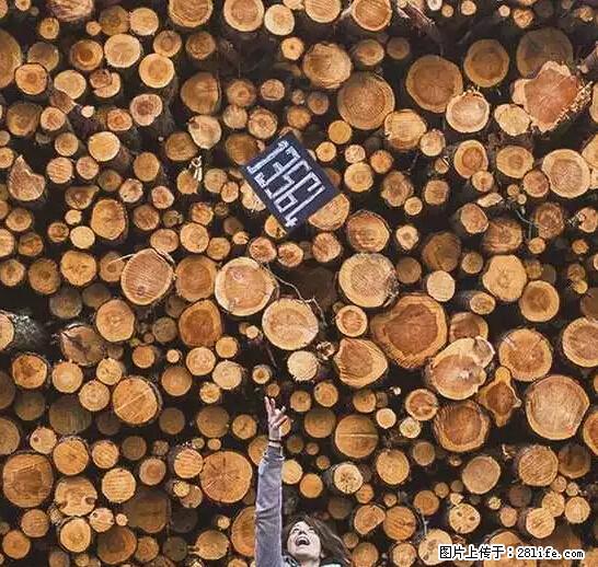 辞掉工作周游世界？现在他们在洗厕所…… - 游山玩水 - 海口生活社区 - 海口28生活网 haikou.28life.net