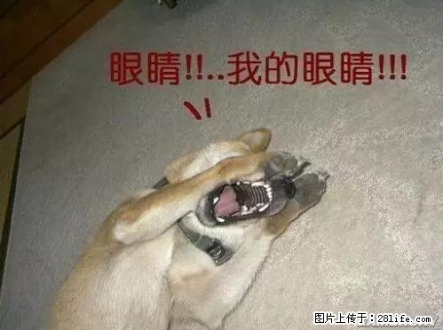 笑癫了！一女的怀孕三年未生，他终于忍不住了... - 娱乐八卦 - 海口生活社区 - 海口28生活网 haikou.28life.net