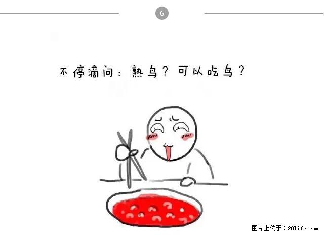 千万不要和这9种哈卵一起吃火锅！ - 美食天地 - 海口生活社区 - 海口28生活网 haikou.28life.net