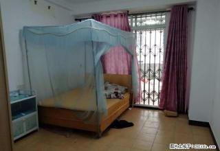 长兴大厦 金桃园小区设备齐全拎包入住仅租1200元每月 - 海口28生活网 haikou.28life.net