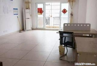 世贸文华市场附近交通便利生活方便户型方正空房出租办公艏选好房 - 海口28生活网 haikou.28life.net