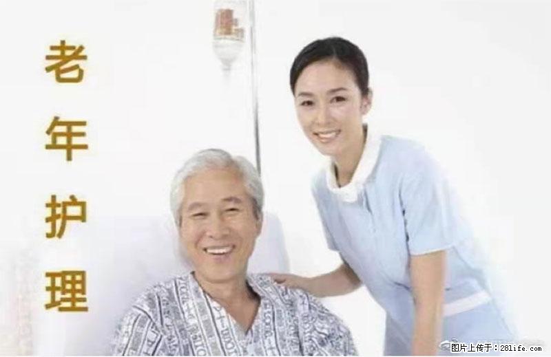 上海国企养老院，星级酒店环境，招聘养老护工 - 职场交流 - 海口生活社区 - 海口28生活网 haikou.28life.net