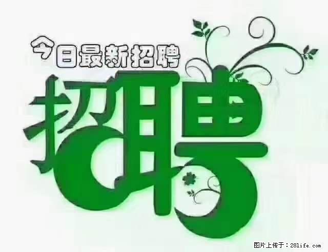 【招聘摄像师】待遇：试用期6000元/月，转正7000元/月+五险一金+餐补+节日福利+奖金 - 职场交流 - 海口生活社区 - 海口28生活网 haikou.28life.net