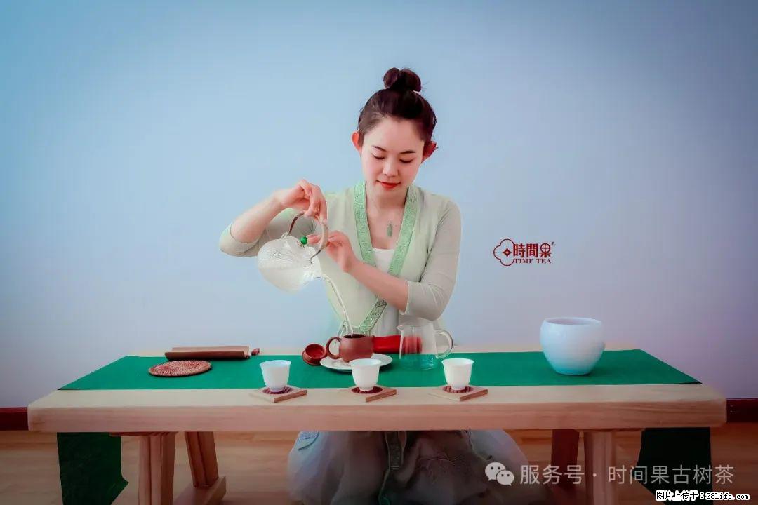 时间果百年古树龙珠普洱生茶 - 购物交流 - 海口生活社区 - 海口28生活网 haikou.28life.net