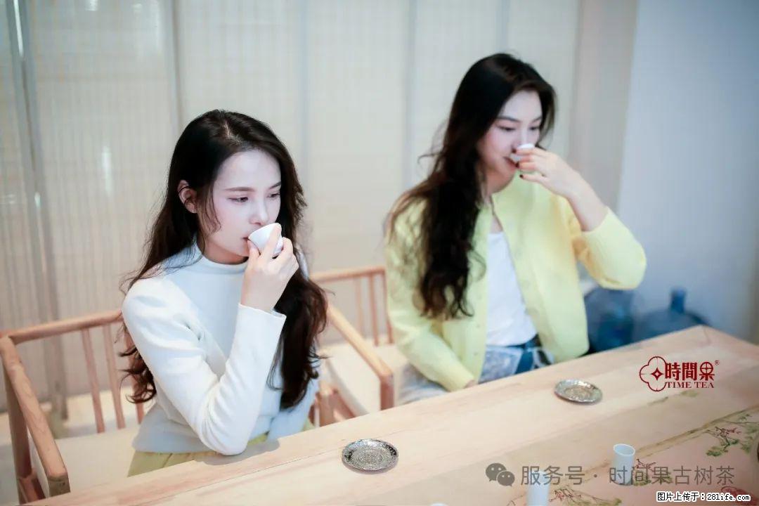 时间果百年古树龙珠普洱生茶 - 购物交流 - 海口生活社区 - 海口28生活网 haikou.28life.net