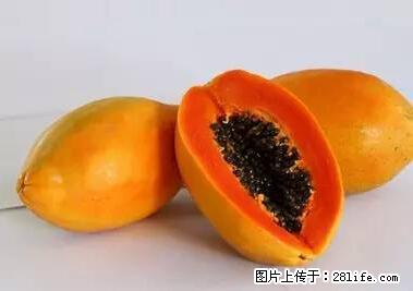 晕车、脚气、牙齿变黄、皮肤粗糙？学会这些三分钟搞定！ - 海口生活资讯 - 海口28生活网 haikou.28life.net