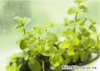 晕车、脚气、牙齿变黄、皮肤粗糙？学会这些三分钟搞定！ - 海口生活资讯 - 海口28生活网 haikou.28life.net