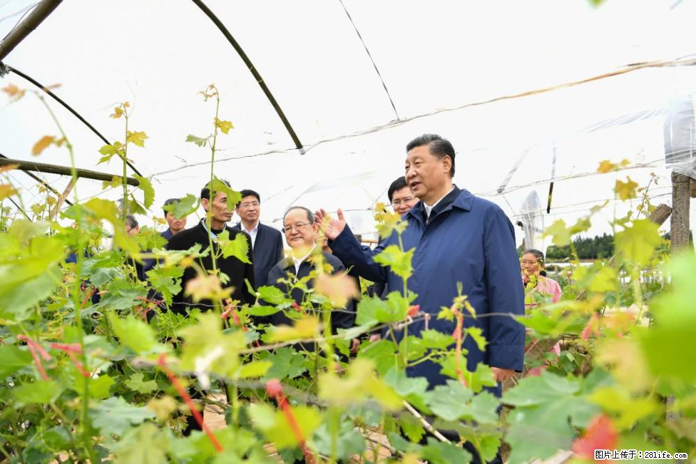 习近平赴广西考察调研 - 海口生活资讯 - 海口28生活网 haikou.28life.net