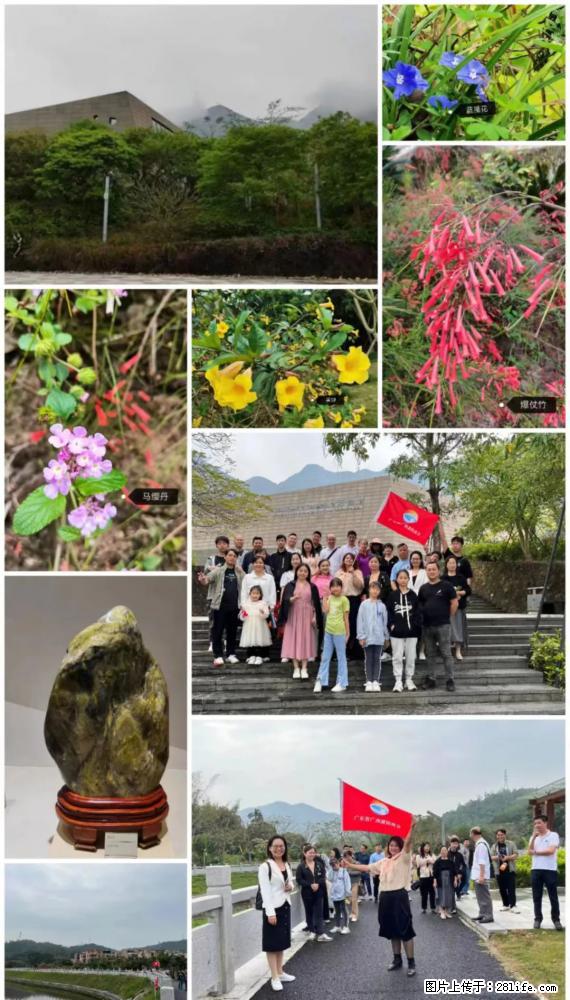 “粤灌文化 美好生活”油茶文化主题活动在广东深圳成功举办 - 海口生活资讯 - 海口28生活网 haikou.28life.net
