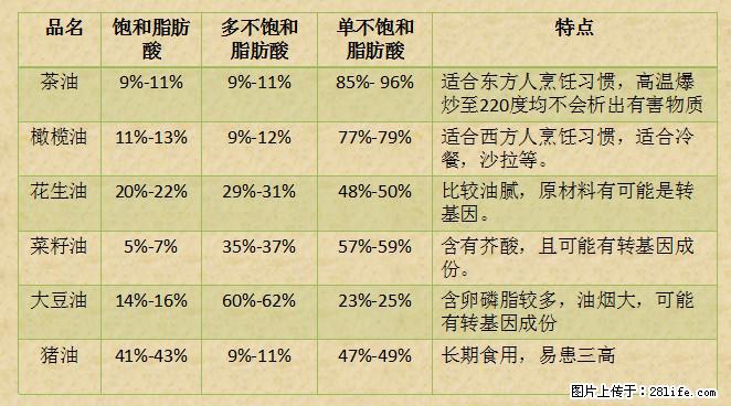 揭秘茶油的5大核心营养成分！被称为人体健康的“守护盾”！ - 海口生活资讯 - 海口28生活网 haikou.28life.net