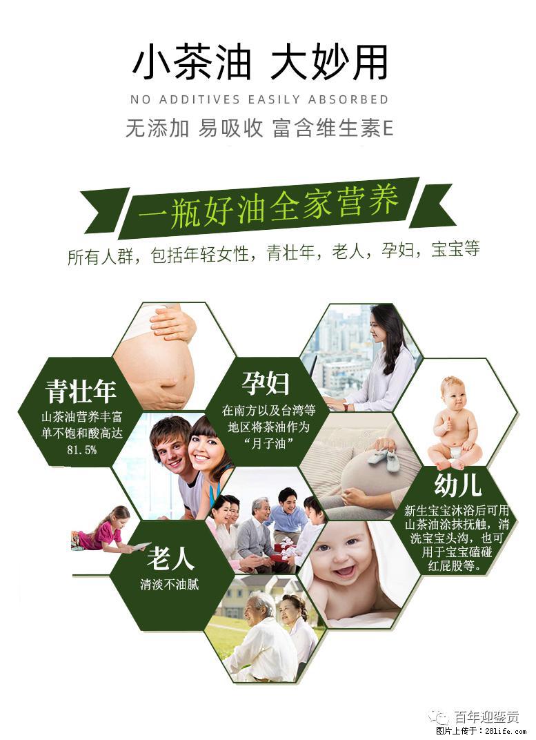 世界没有真相，只有认知，最好的食用油是中国的山茶油！ - 海口生活资讯 - 海口28生活网 haikou.28life.net