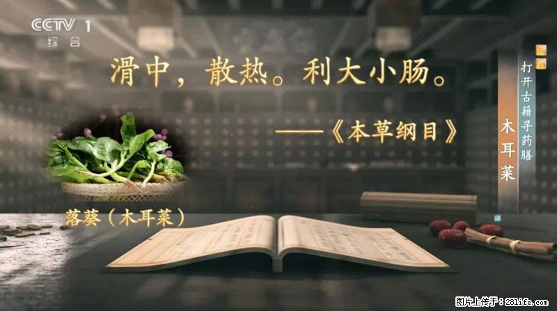 比牛奶补钙还厉害！凉血解毒、稳血糖...这菜冬天必吃，很多人却当草 - 海口生活资讯 - 海口28生活网 haikou.28life.net