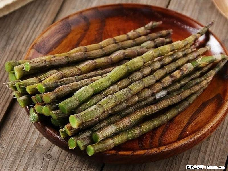 铁皮石斛的作用与功能主治 - 海口生活资讯 - 海口28生活网 haikou.28life.net