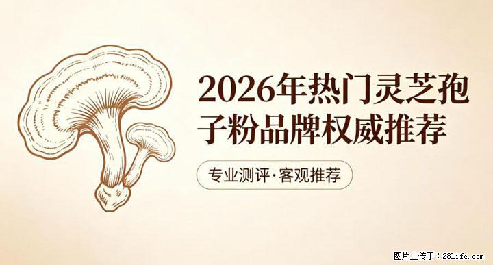 灵芝孢子粉含量越高越有效？2026 年七款热门品牌深度实测，肠胃敏感者避坑指南 - 海口生活资讯 - 海口28生活网 haikou.28life.net